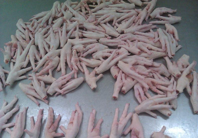 Frozen Chicken Parts - Image 2