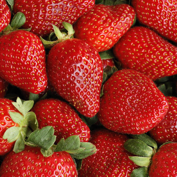 Fresh / Frozen Strawberry