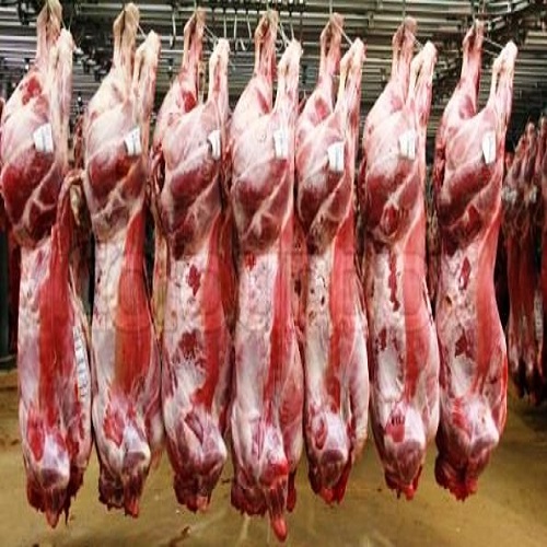 Frozen Lamb/ Sheep/ Mutton Meat