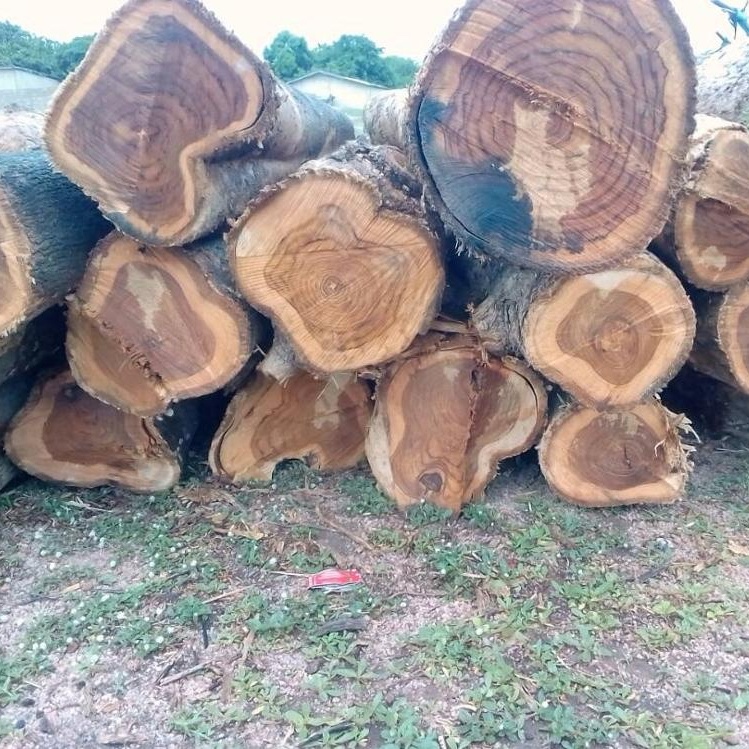Wood Logs
