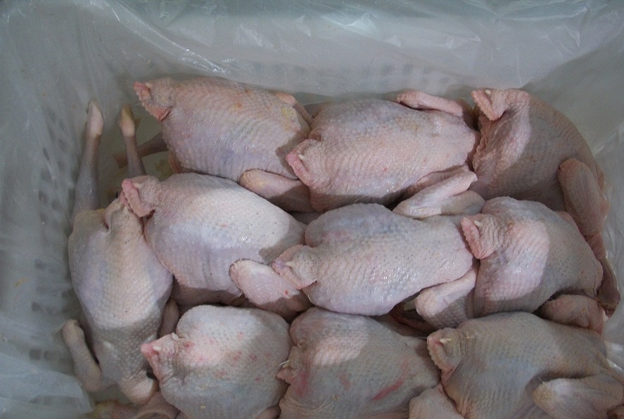 Frozen Chicken Parts - Image 3
